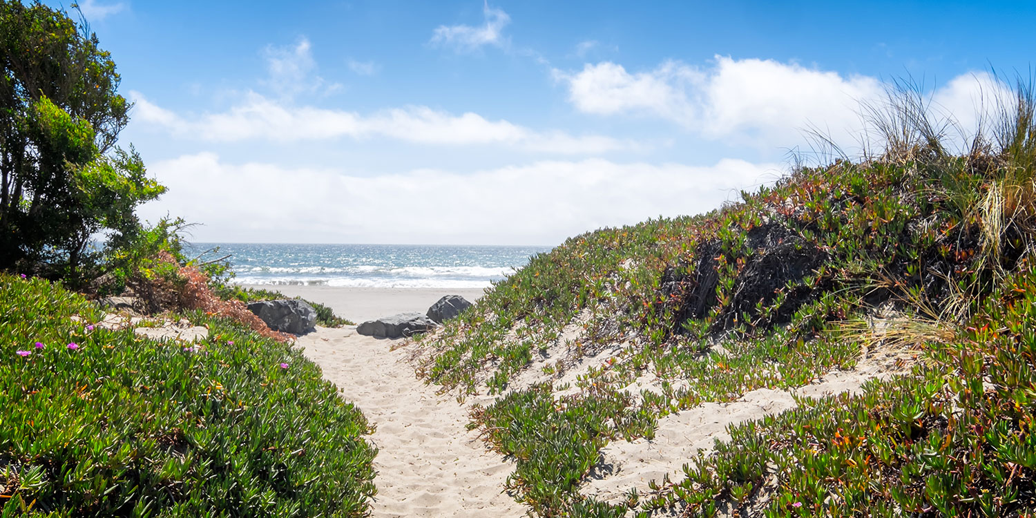 TAKE A LEISURELY STROLL ALONG THE BEAUTIFUL BEACH THAT’S JUST A WALK AWAY