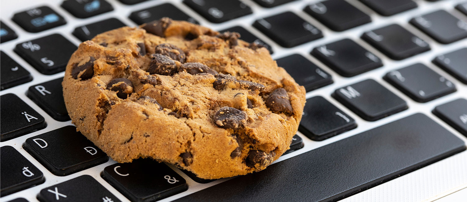 WEBSITE COOKIE POLICY FOR THE SEASCAPE INN